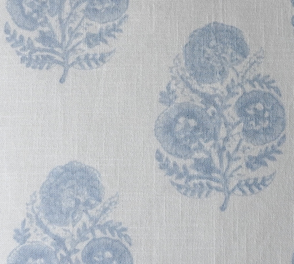 Hydrangea