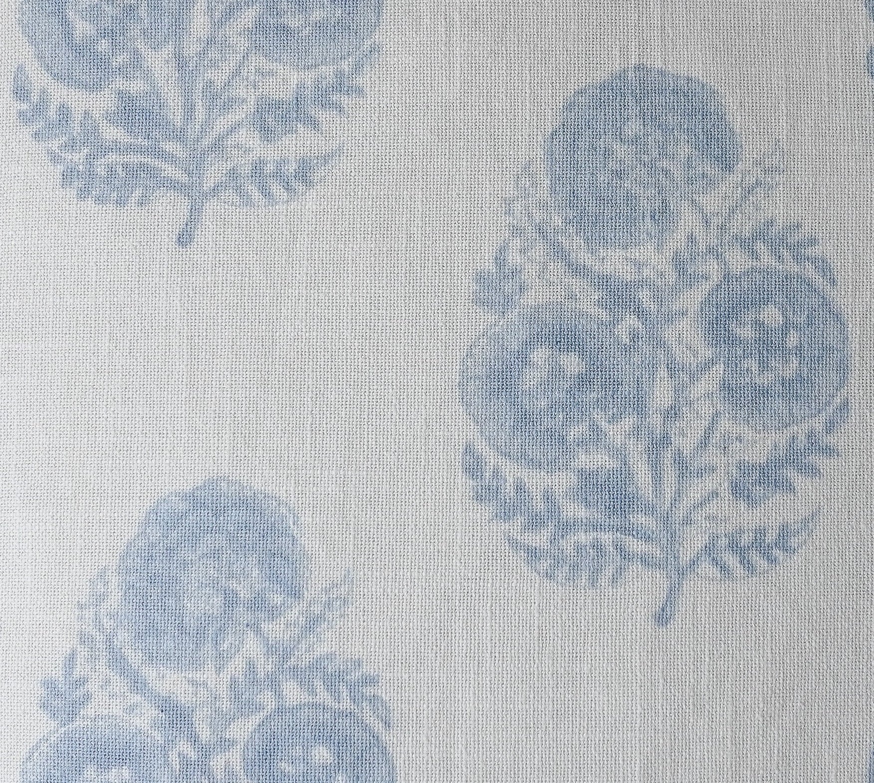 Hydrangea