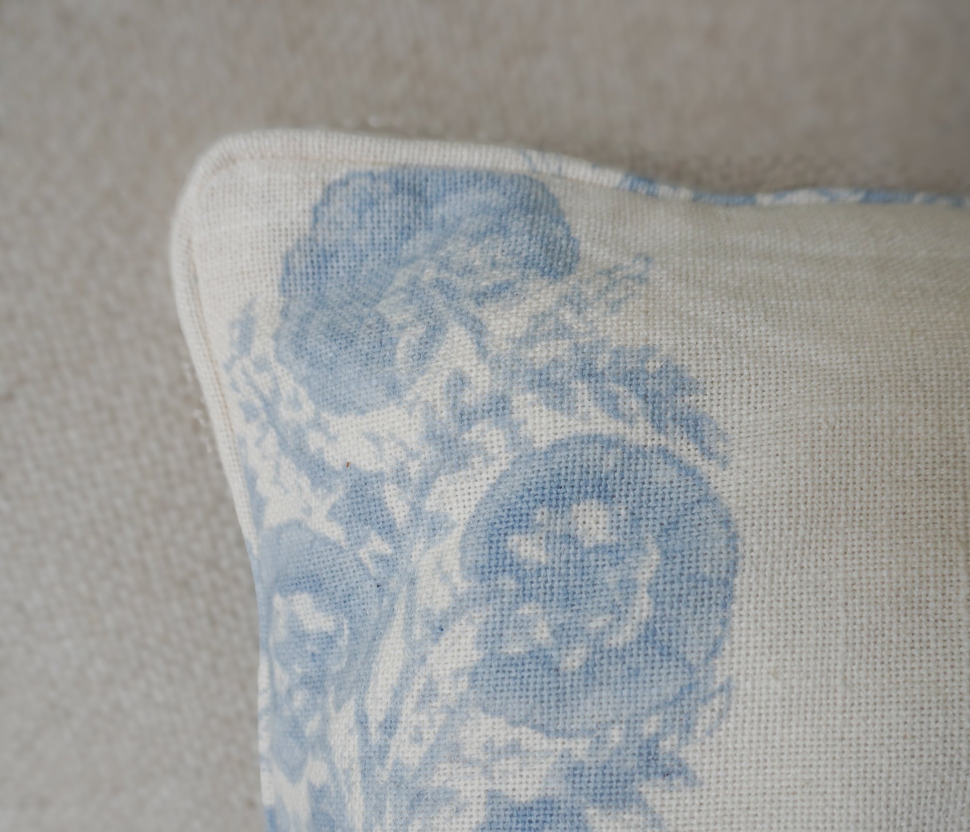 Hydrangea