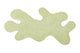 Amoeba